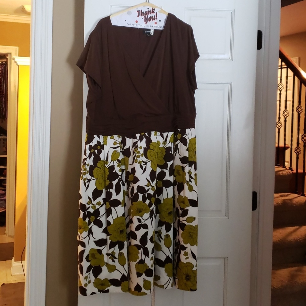 Plus Size Dress